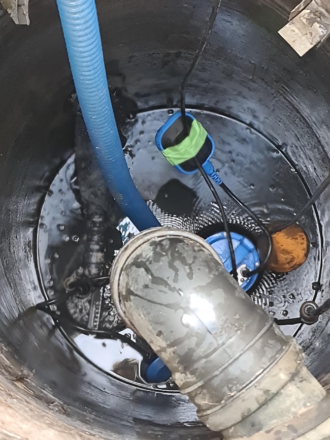 Bytte ut 2 vannpumper ved huset