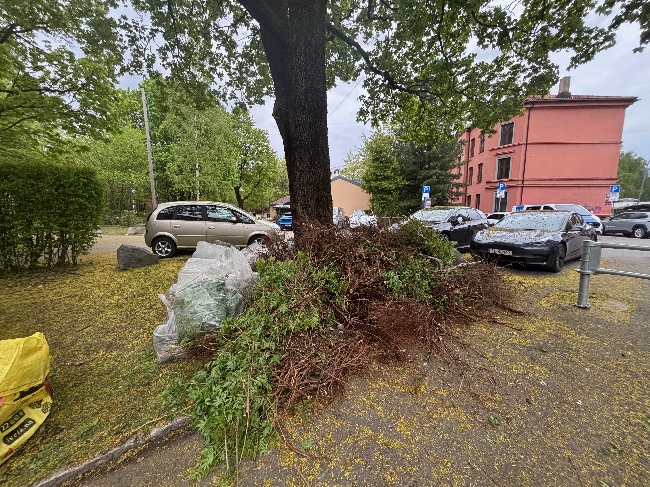 Bortkjøring Hageavfall