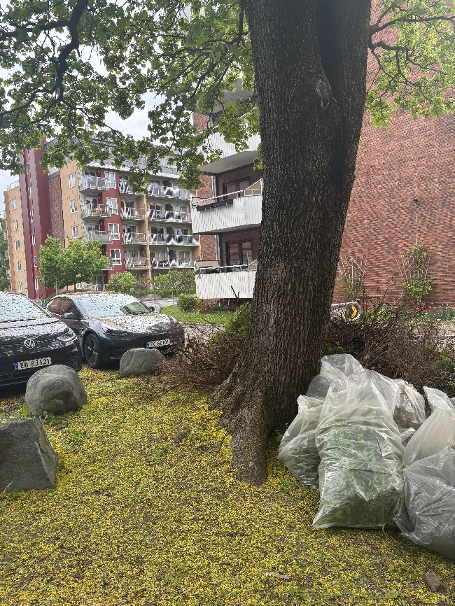 Bortkjøring Hageavfall