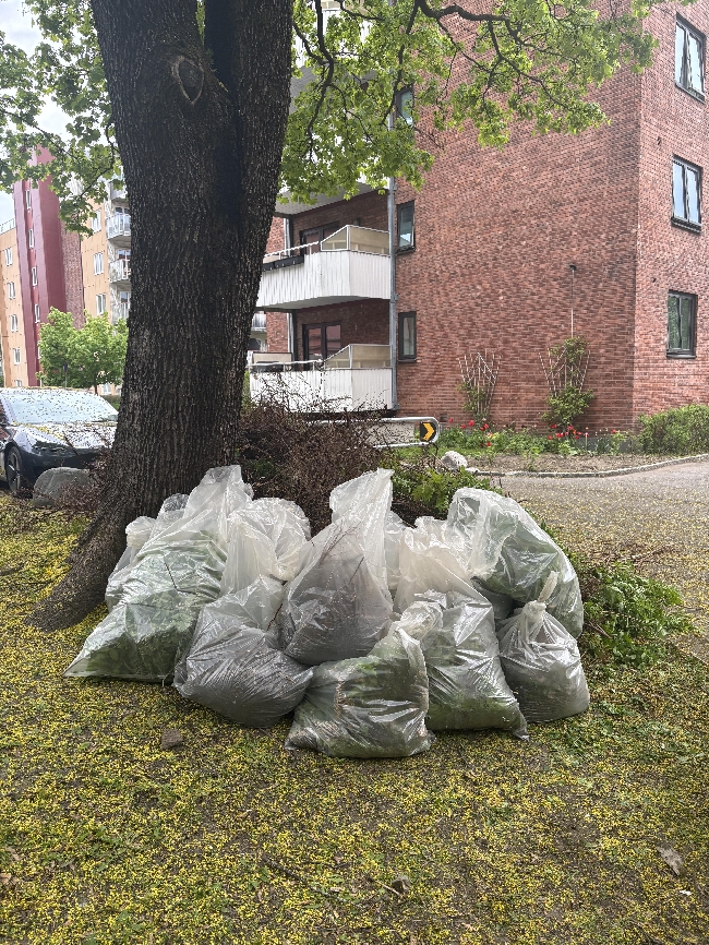 Bortkjøring Hageavfall