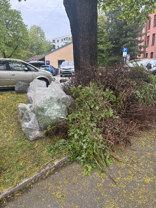 Bortkjøring Hageavfall