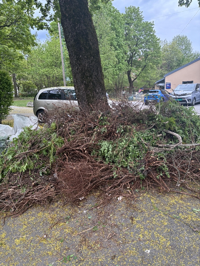 Bortkjøring Hageavfall