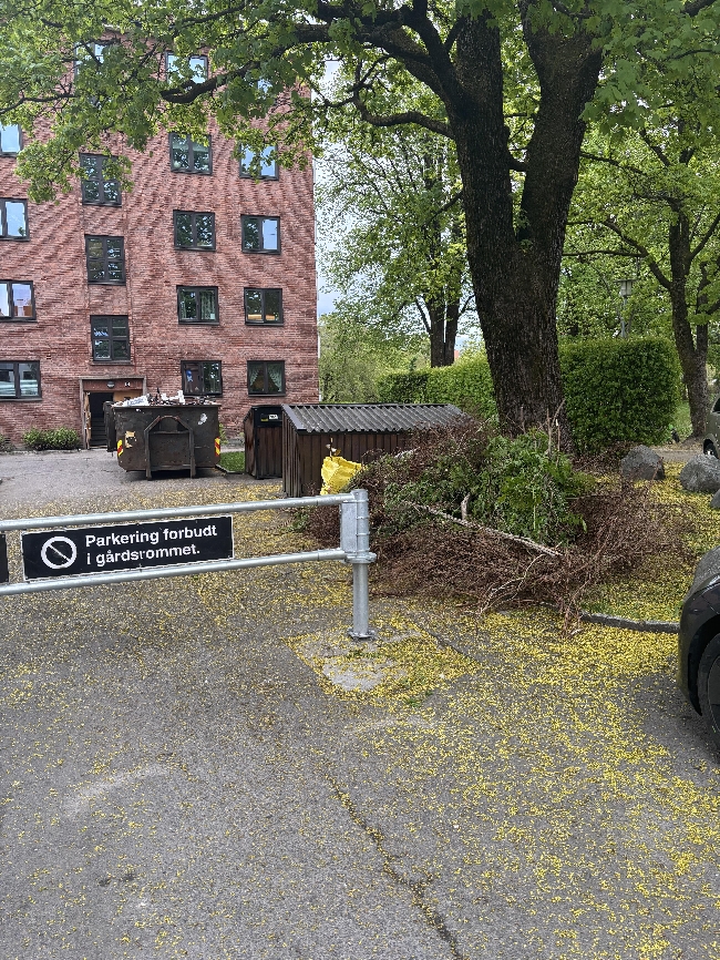 Bortkjøring Hageavfall