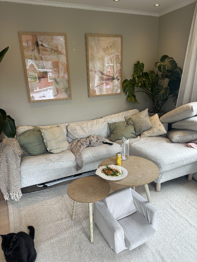 Hente ny sofa og kaste gammel sofa
