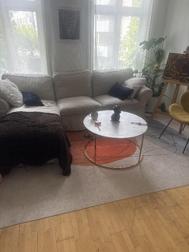 Move a carpet + paint 2 walls