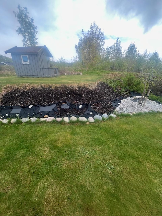 Samle bark i hagen