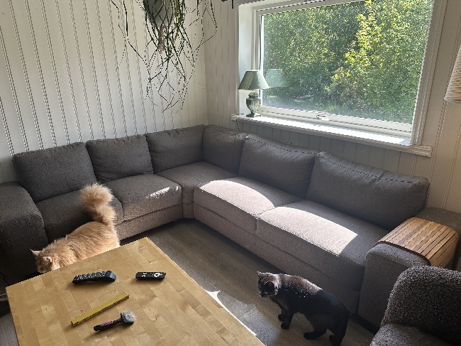 Kjøre sofa til Indre Østfold renovasjon IKS