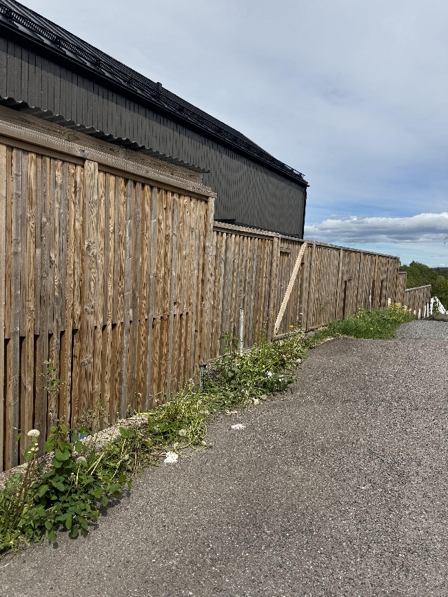 Beise gjerdet 2 strøk
