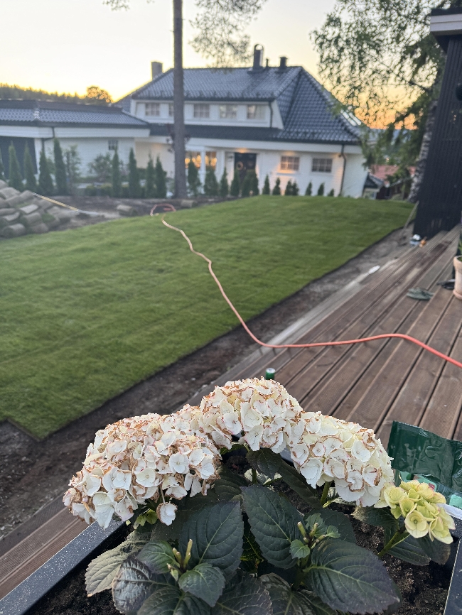 Hjelp til å legge rullegress