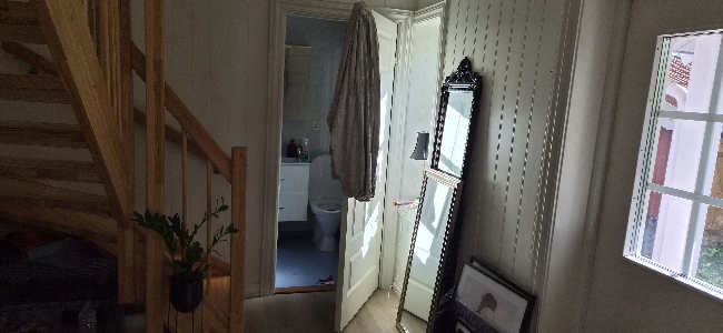 Litt vaskehjelp I flytte prosess søkes
