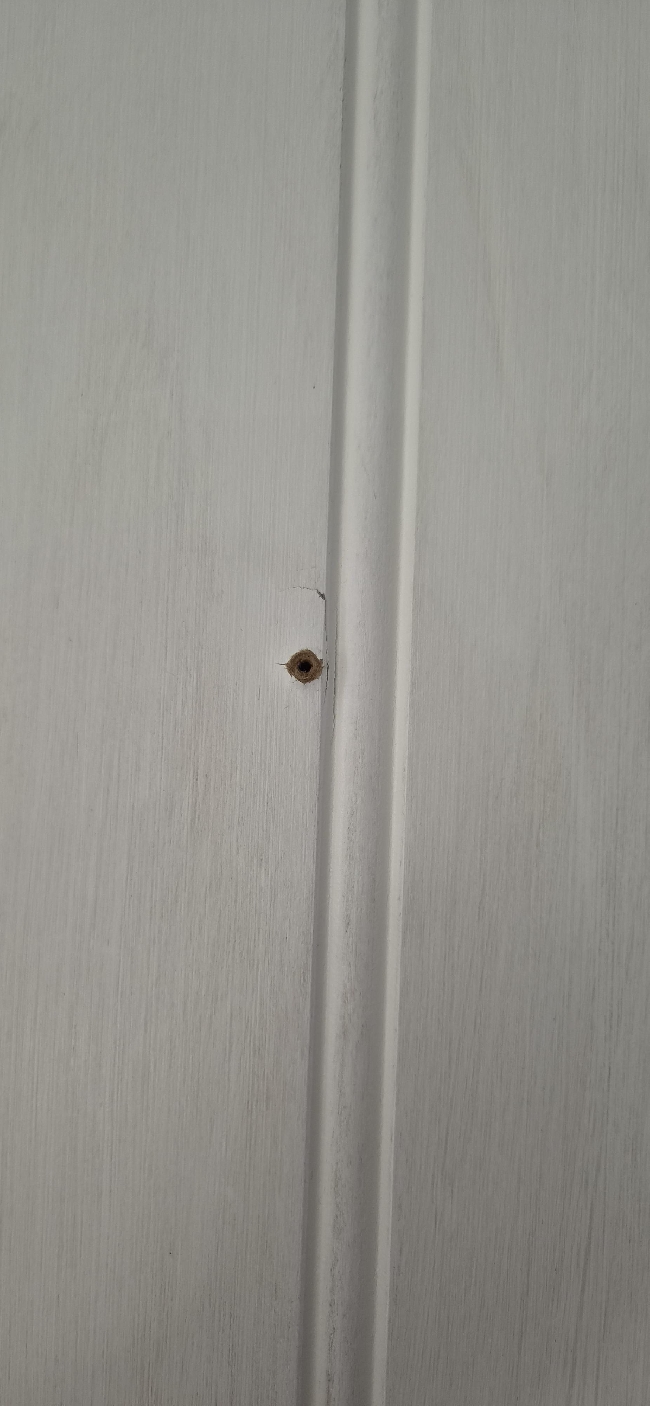 Hjelp til å fjerne hull i panel etter skruer!