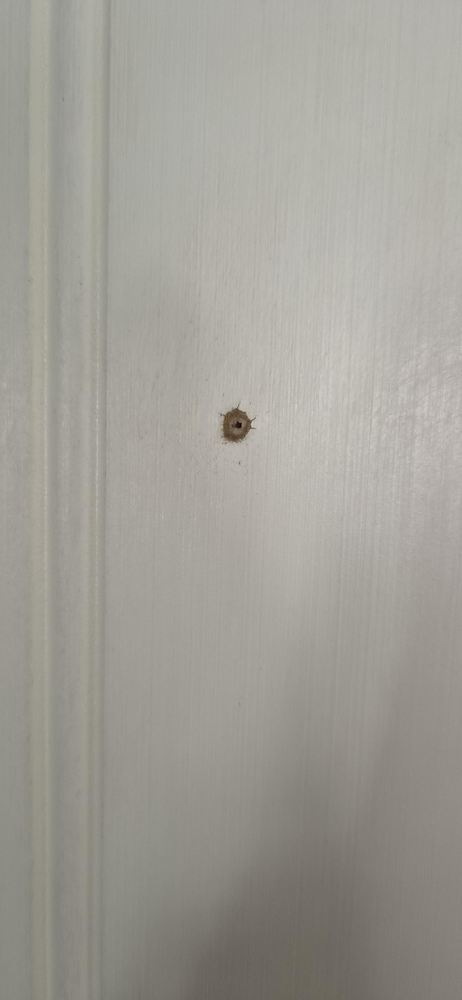 Hjelp til å fjerne hull i panel etter skruer!