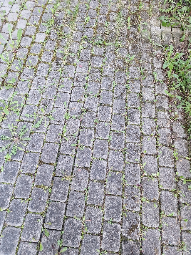 Fjerne ca. 70 kvm belegningsstein i Drammen