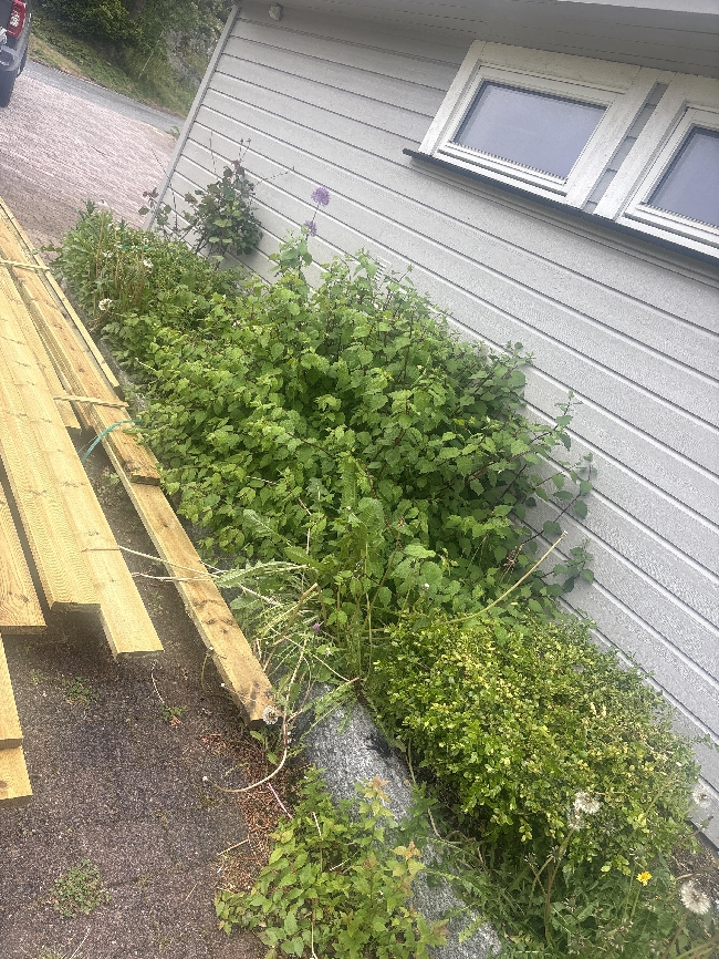 Tømme et gammelt bed