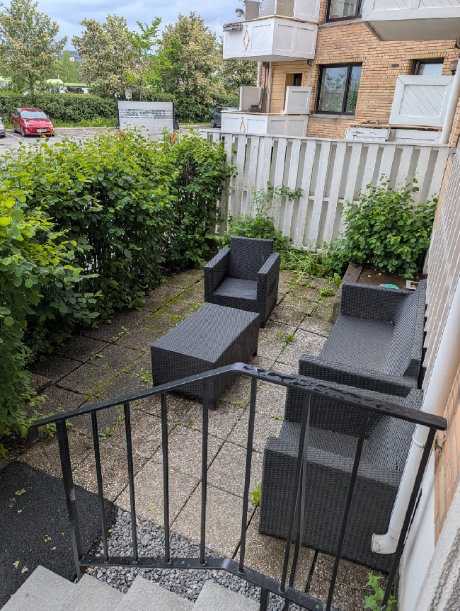 Rydding/trimming i hagen