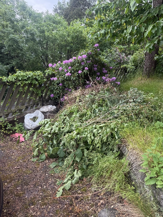Kjøre bort hageafall