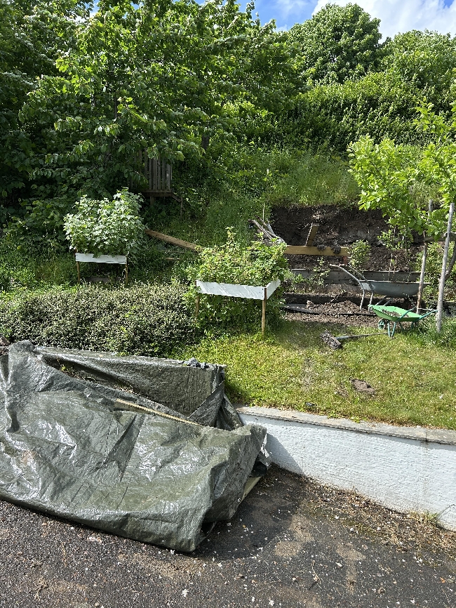 Graveoppdrag i hagen