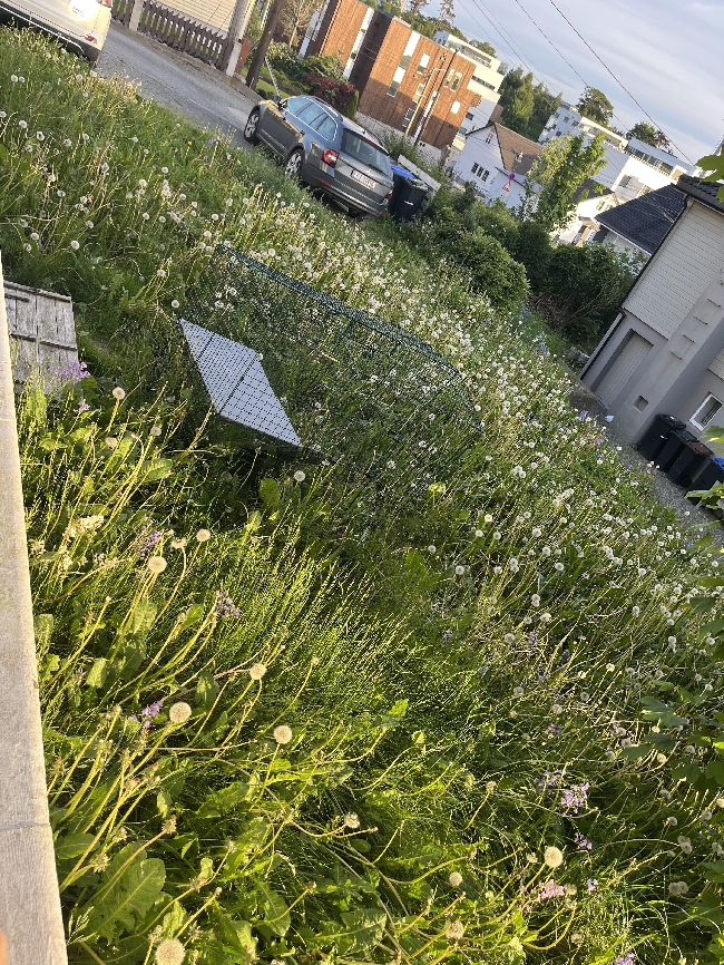 Plenklipping/opprydning av hageflekk