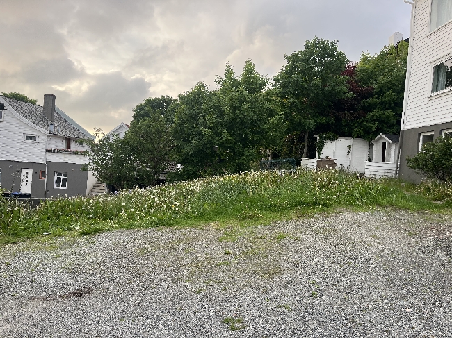 Plenklipping/opprydning av hageflekk