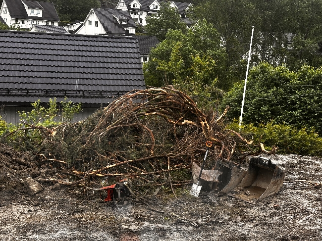 Stor hage avfall - 3 meter lang ( kan kappes)