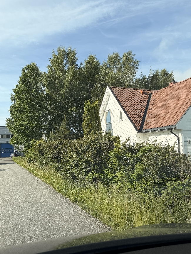 Hagestell – hekk og ugress