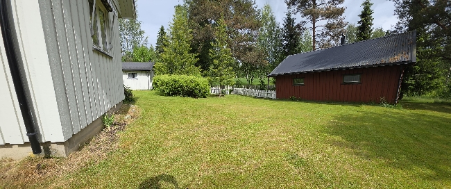 Sommerjobb, Plenklipping på Algarheim