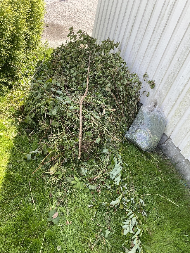 Bortkjøring av hageavfall