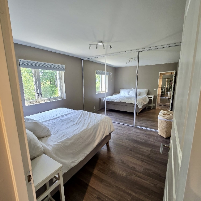 Storvask av leilighet
