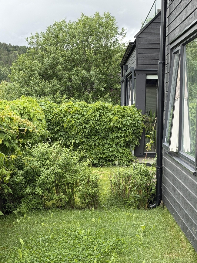 Bygging av utendørs skillevegg mellom hager