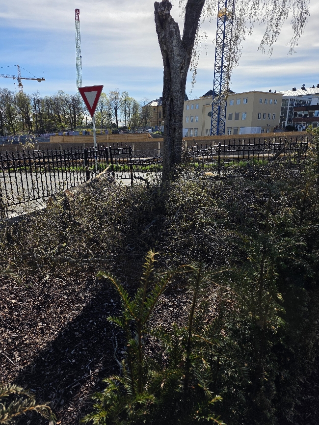 1Forskjellig hagearbeid, fjerne ugress, feie gårdsplass etc