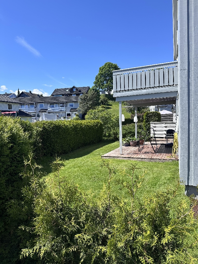 Fjerne noe råte på terasse