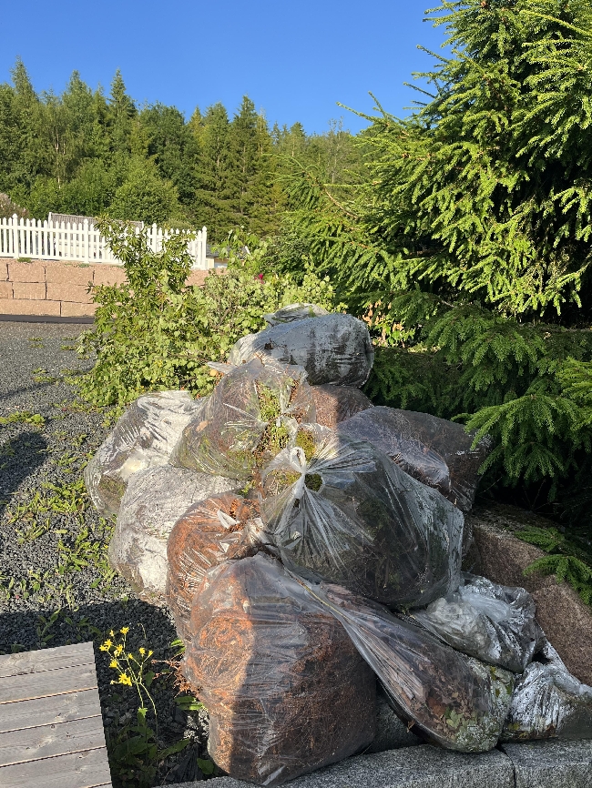 Bortkjøring av hageavfall