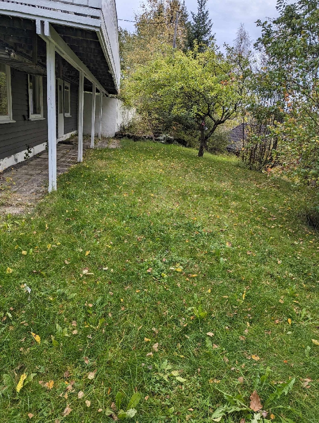 Grassklipp