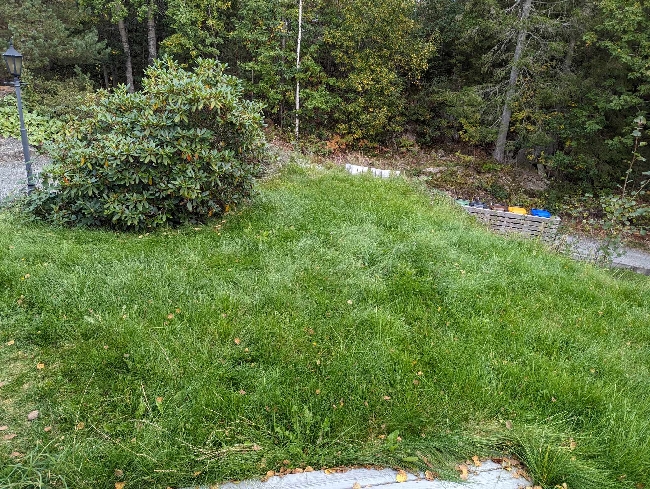 Grassklipp