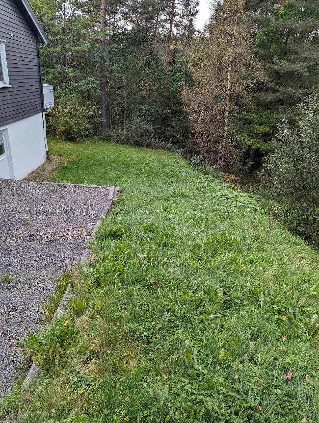 Grassklipp