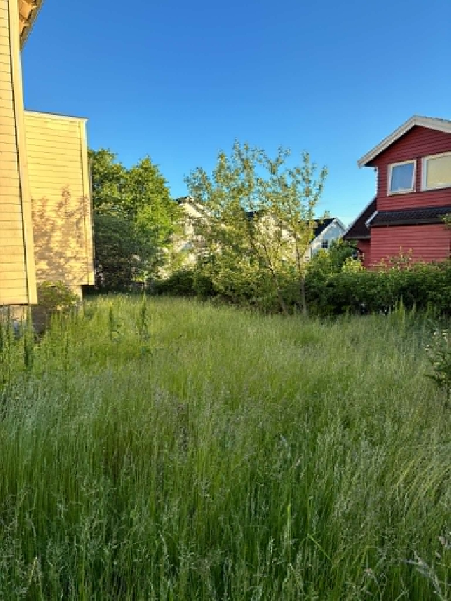 Gressklipping og kasting av hageavfall