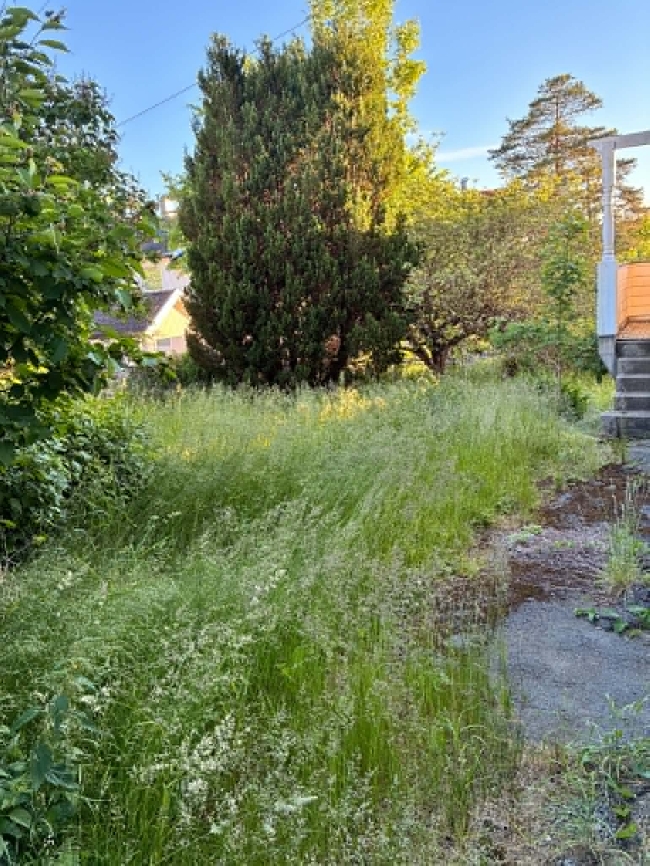 Gressklipping og kasting av hageavfall