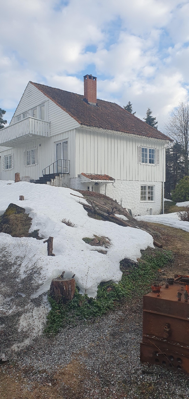 Skifte tak og 2 vinduer