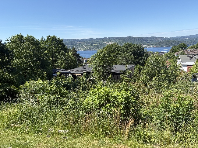 Klippe, rydde og stelle uteplassen