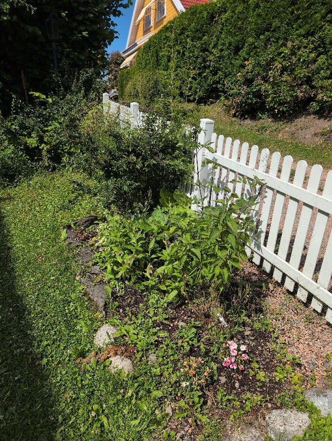 Hjelp til hage - småbarnsfamilie