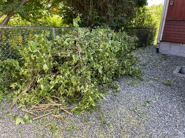 Bortkjøring av hageavfall