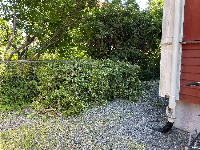 Bortkjøring av hageavfall