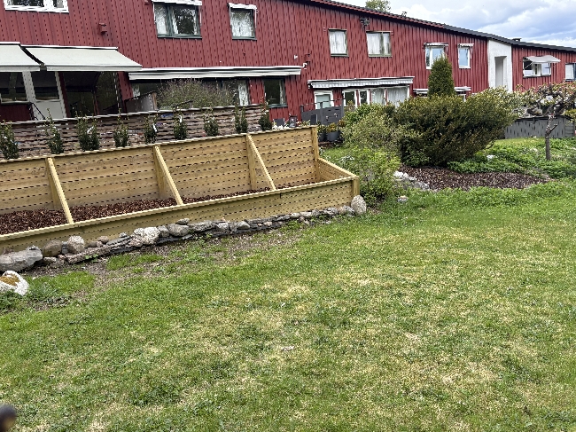 Klipping av høyt (u)gress, luking