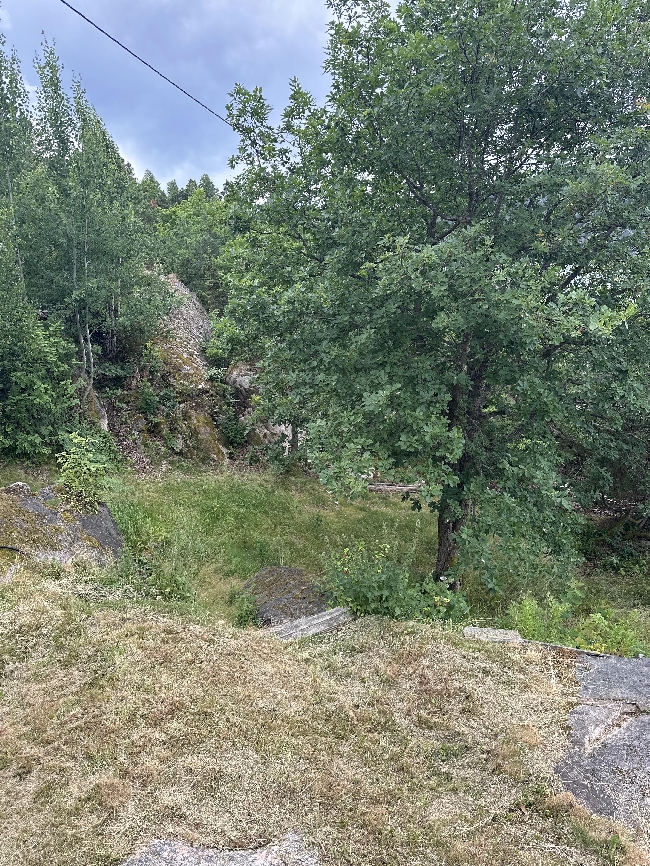Hagearbeid – Hjelp ønskes snarest!