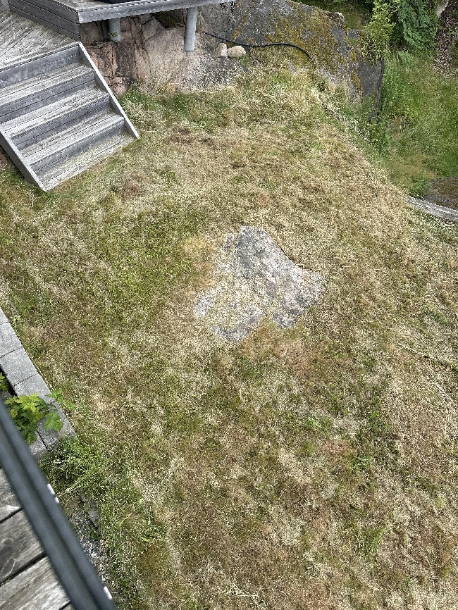 Hagearbeid – Hjelp ønskes snarest!