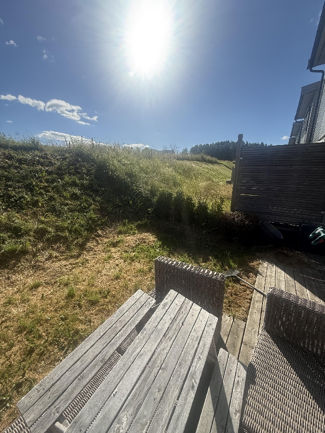 Klipping av gress og fjerning av dødt gress. Mulig renovering av gress