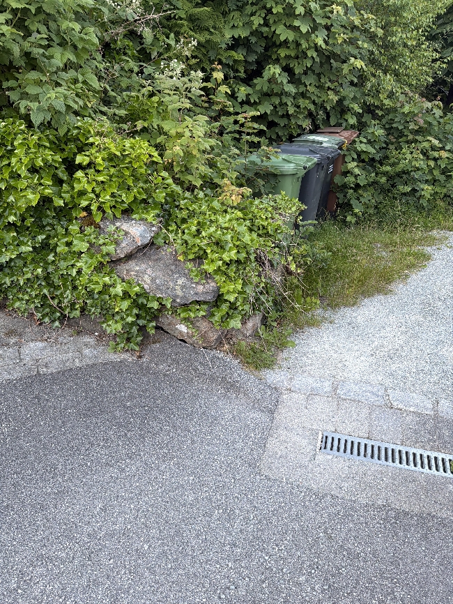 Korte inn på stablet steingjerde