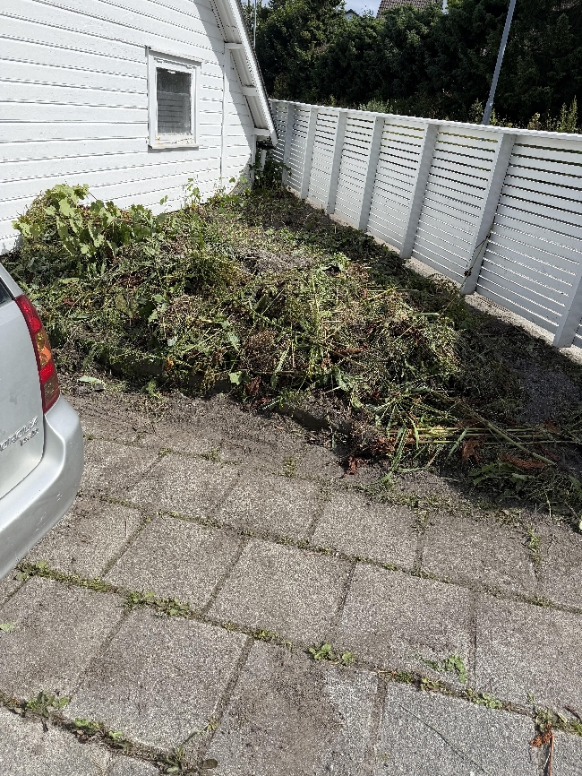 Lasting og bortkjøring