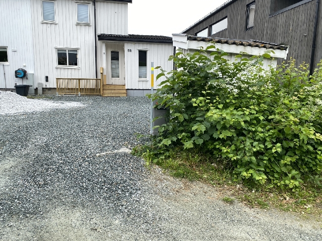 Skrape topplaget på gårdsplass, legge duk, og singel over.