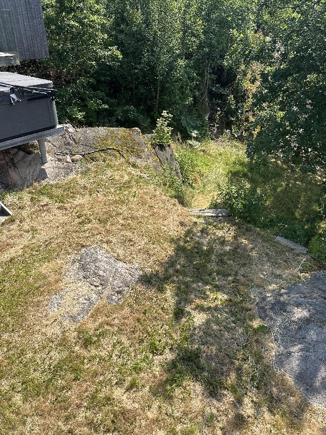 Garden Clean-Up &amp; Tree Work Needed – ASAP